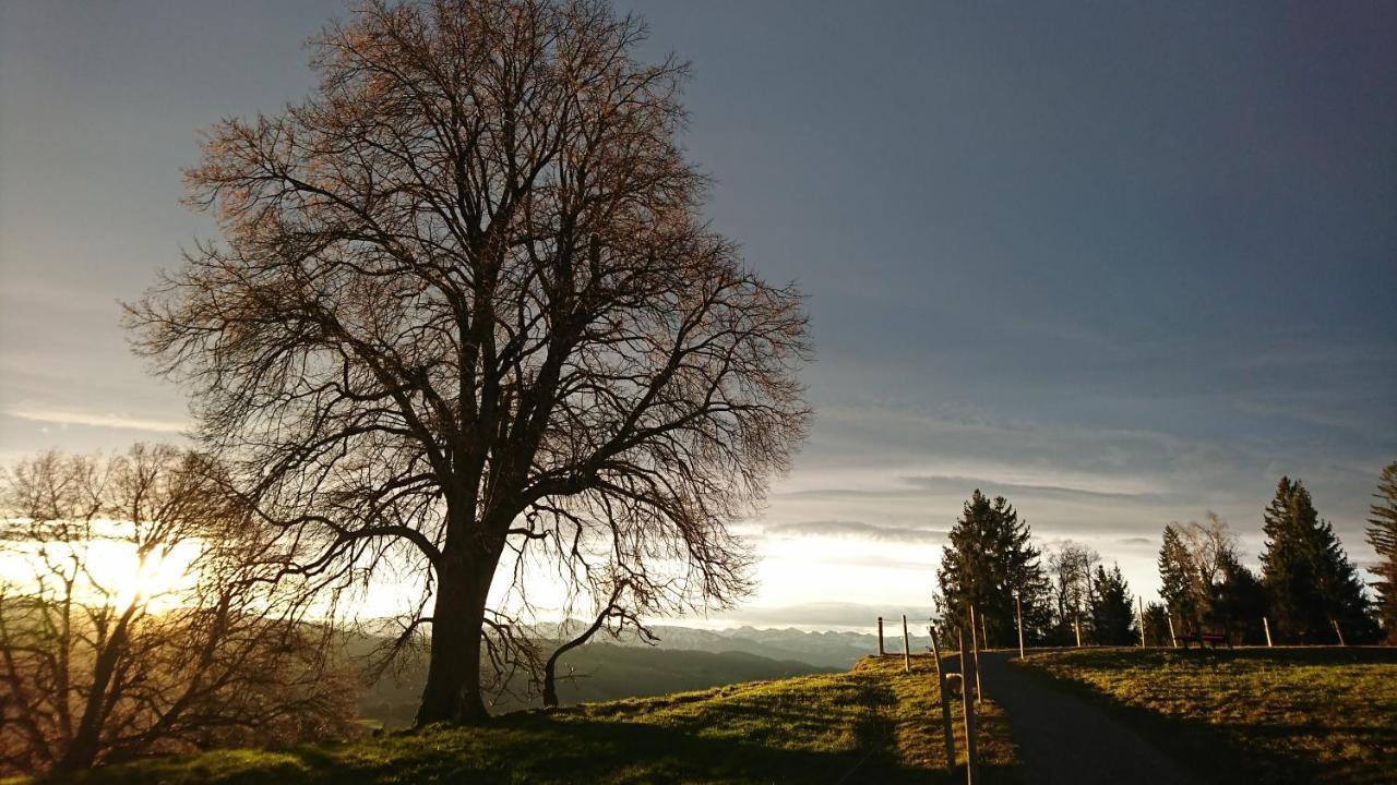 Alpentraum Daire Scheidegg Dış mekan fotoğraf